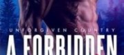 A Forbidden Mating (Unforgiven Country #2)